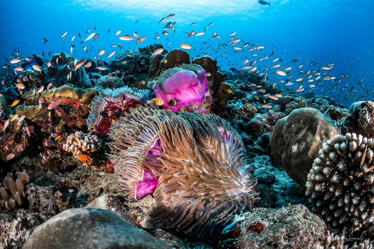 Shangri-La'S Villingili Resort And Spa, Maldives Addu-atollen Eksteriør bilde